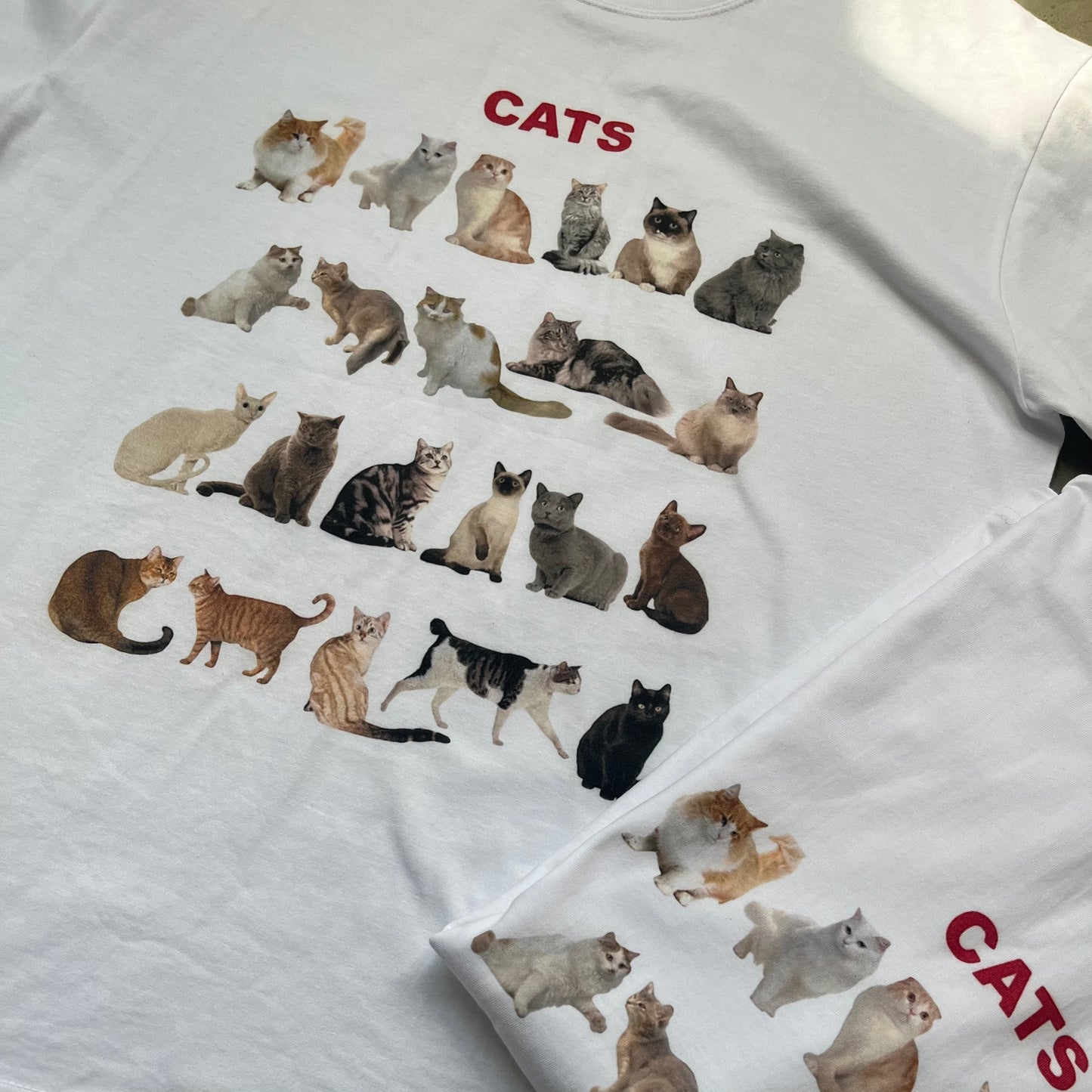 TP166- Cat Over Size Tee | White | Black