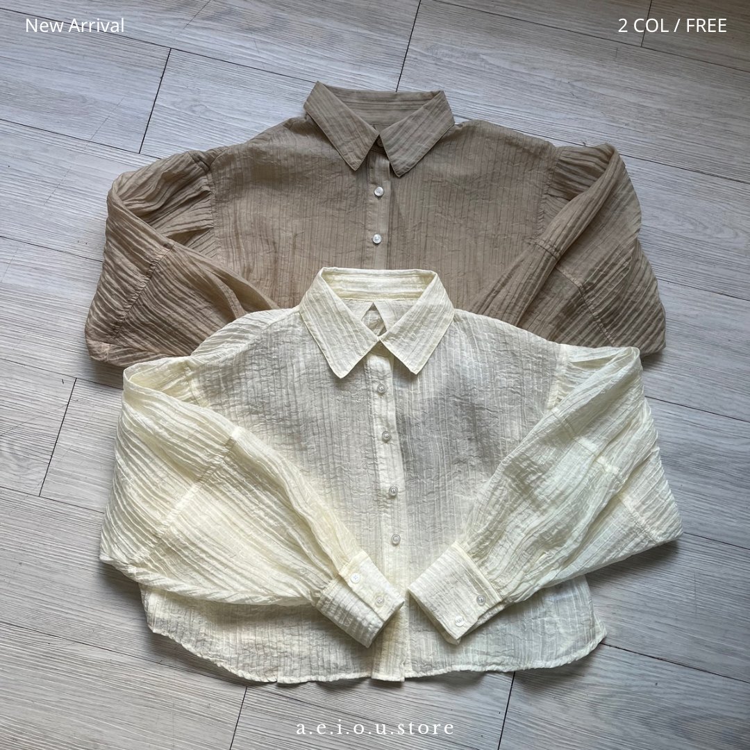 TP366- Tuck Sleeve Blouse | Ivory | Beige