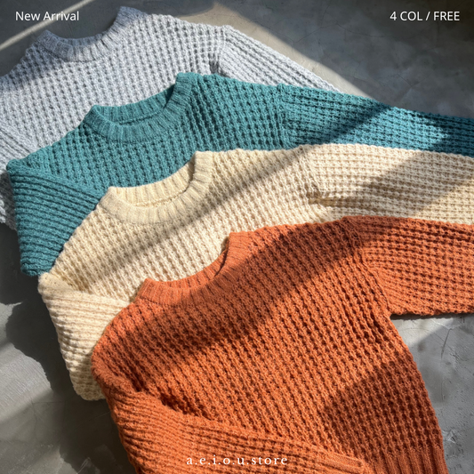 TP81- Colourful Big Sweater